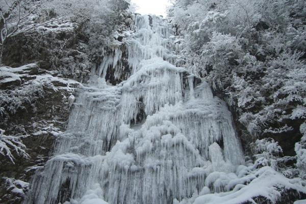 四王寺滝の氷バクです